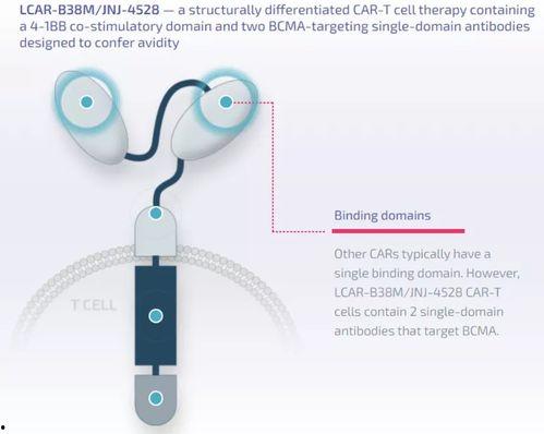 照片又称,照片中的故事与情感